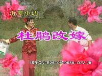 沂蒙小调《杜鵑改嫁》