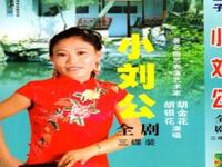 河南坠子《九爪真龙刘天顺》全集