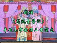 越调《龙凤金簪记》全集 平顶山市越调二团