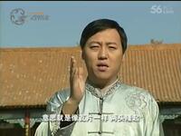 零基础学正宗陈氏太极拳（陈斌）下载
