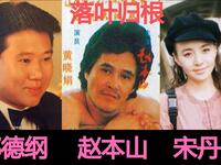 落叶归根下载