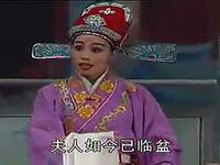 婺剧《巾帼奇男》全剧
