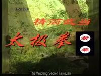 武当秘传太极拳教学下载