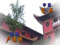庐剧《农家姑娘生皇帝》全剧