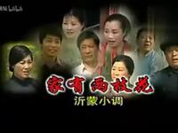 沂蒙小调《家有两枝花》