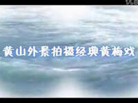 外景黄梅戏《孝女寻父》全集