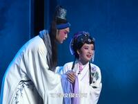 黄梅戏《浮生六记》全集下载