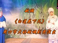 越调《白莲花下凡》全集 周口市大好越调剧