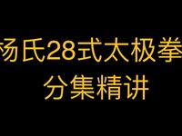 杨式太极拳28式分式精讲傅清泉教学 《太极与养生》下载