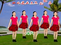 广场舞《我的快乐就是想你》简单好看附教学