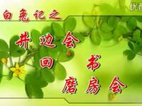 潮剧《白兔记》小梅花版