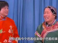 泗州戏《精闺女憨女婿》全集