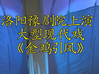 豫剧《金鸡引凤》高清全集下载
