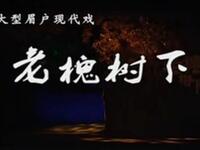 眉户现代戏《老槐树下》全集 山西临汾市眉户剧团下载