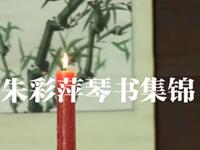 琴书《朱彩萍集锦》
