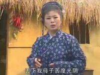 黄梅戏《错配婚缘》全集