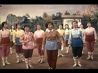 电影版黄梅戏《红霞万朵》全集下载