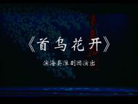 淮剧《首乌花开》第八届江苏省淮剧艺术展演