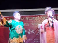 东北二人转《阴魂阵》下载