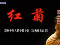 豫剧 《红菊》