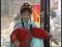 庐剧《九死一生还魂记》全剧