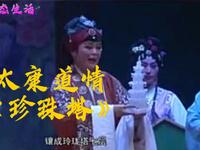 太康道情《珍珠塔》全集 太康道情艺术中心