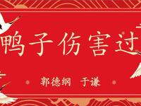 鸭子伤害过