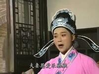 黄梅戏《借尸还魂》全集
