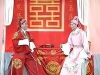 黄梅戏《双头记》全集