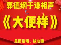大便样