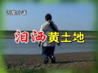 沂蒙小调《泪洒黄土地》