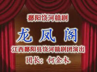 赣剧《龙凤阁》全剧