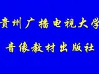 二人转《杨宗保招亲》长春和平大剧院演出下载