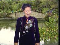 河南坠子《大红袍》第二部