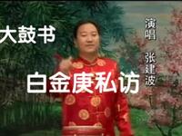 大鼓书《白金庚私访》全集