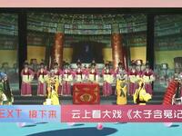 莆仙戏《太子含冤记》全剧