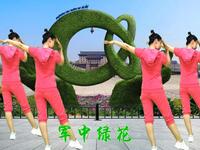 中老年舒缓操《军中绿花》背面教学版简单易学下载