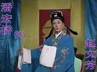 黄梅戏《龙凤环》