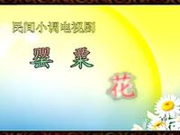 沂蒙小调《罂粟花》