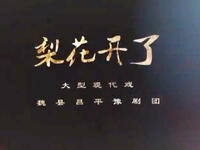 豫剧《梨花开了》高清全集