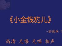 小金钱豹儿
