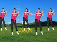 dj广场舞《情字最大》