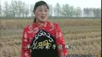 苏北小调《拔麦茬》