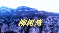 上党落子《柳树湾》中集