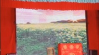 湘汨平花鼓戏《柳明英》下载