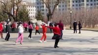 中老年广场健身操《北方北方》下载