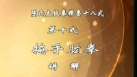 陈式太极拳精要18式掩手肱拳下载