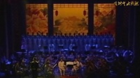 上党梆子张爱珍演唱会集《佘赛花》《打金枝