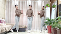 新生代广场舞《冬天里的白玫瑰》基础入门32