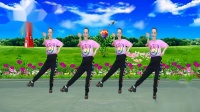 兰州莲花广场舞《蝶双飞》
